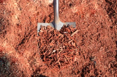 Red Mulch copy